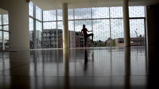 Teaser Chpt de France Patinage Artistique sur Roulettes MVX 2015 [upl. by Lertsek]