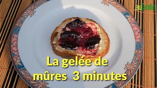 La GELÉE de MÛRE 3 MINUTES une RECETTE EXTRA et FACILE 😃😃 [upl. by Amat]