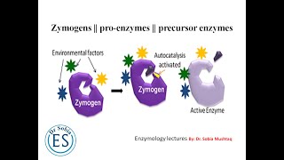 zymogens  proenzymes  precursor enzymes  enzymology lecture 05  educational scholar [upl. by Keith]