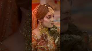 Beautiful Mehndi Dress Mehndi Design Mehndi Reel [upl. by Rowen]