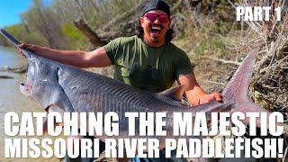 CATCHING THE MAJESTIC MISSOURI RIVER PADDLEFISH IN NORTH DAKOTA  2024  Part 1 [upl. by Nylyahs]