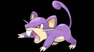 019 Rattata Cry [upl. by Eirrek]