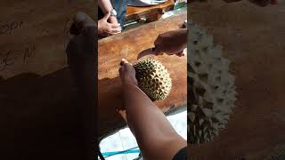 Petik durian Musangking langsung belah bolangagromalang shorts durian musangking [upl. by Borgeson25]