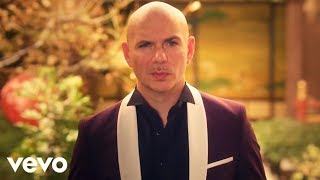 Pitbull Fifth Harmony  Por Favor Official Video [upl. by Lundell]