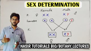 Sex Determination 13  Different Mechanisms of Sex Determination  Genetics  BS [upl. by Noevart]