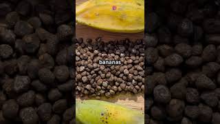 The Berry Paradox Bananas vs Strawberrie lifefacts facts frutsfacts science fact didyouknow [upl. by Ispep]