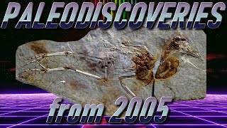 PALEODISCOVERIES from 2005 [upl. by Aileda840]