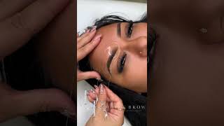 Permanent Makeup Brows [upl. by Oiraved]