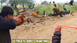 Ultimate Birds Hunting Skills With Handmade Slingshot [upl. by Aitnohs]