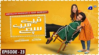 Tere Mere Sapnay Mega Episode 23  Eng Sub  Shahzad Sheikh  Sabeena Farooq  31st March 2024 [upl. by Strauss465]