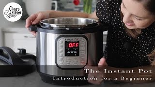 Instant Pot Duo Crisp  Air Fryer  How to Use the Air Fryer Lid [upl. by Verina]