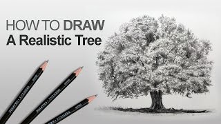 How to Draw a Tree Realistic [upl. by Dow283]