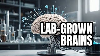 🧠 The Fascinating World of LabGrown Brains Breakthroughs and Implications 🔬 [upl. by Skilken]