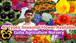 More than 40 Types Seasonal Flower available at Guha Nursery in Shantipur [upl. by Hillery]