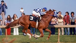 Preakness Stakes 1973 [upl. by Nrobyalc]