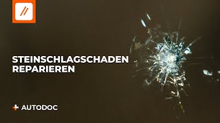 Wie man einen Steinschlagschaden oder einen Sprung in der Windschutzscheibe repariert  AUTODOC [upl. by Alleuol]