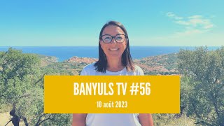 Banyuls TV 56 10 août 2023 [upl. by Asus]