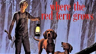 Where the Red Fern Grows  Audiobook  Chapters 7 amp 8 [upl. by Moulton538]