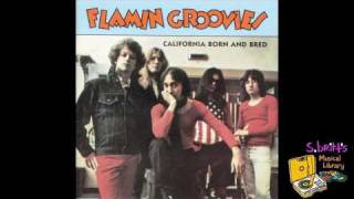 Flamin Groovies quotTiger Manquot [upl. by Vita]