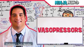 Vasopressors Inodilators Inopressors Pure Vasopressors Methylene Blue Midodrine [upl. by Acisey273]