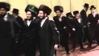 Muslim vs Jewish Dance Off 1 [upl. by Eelrak493]