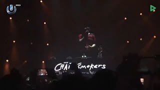 The Chainsmokers  Live  Ultra Japan 2017 [upl. by Eveiveneg981]