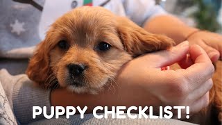 EVERYTHING I BOUGHT FOR MY 8 WEEK CAVAPOO PUPPY  How to Get Ready For Your New Puppy [upl. by Raimundo32]