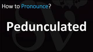 How to Pronounce Pedunculated [upl. by Otreblig]