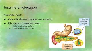 Regeling van glucose  insuline en glucagon [upl. by Nbi]