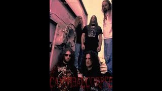 Cannibal Corpse  Entrails Ripped From A Virgins Cunt live 1995 HD [upl. by Tremain]