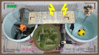 DIY Electric Mouse Trap  How to Catch a Smart Mouse  How to Catch a Rat in Your House [upl. by Doug]