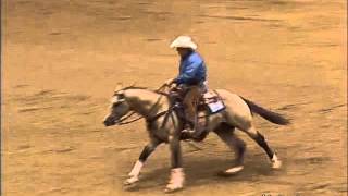 Bueno Fritzi Nic  Reining 2004  World Champion Buckskin son of Reminic [upl. by Esiuqcaj]