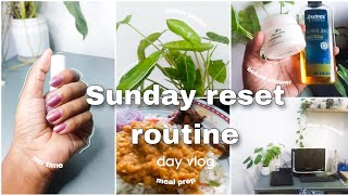 💞 RESET ROUTINE 🌈  ජීවිතේ අලුතින් පටන් ගන්න ☁️ DAILY VLOG ✨🎬 Reset my life  meal prep 🍛 vlog [upl. by Onairam]