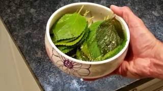 Perilla leaf pickled Kkaennip preparation recipe [upl. by Homerus]