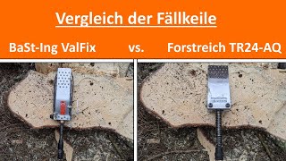 BaStIng ValFix vs Forstreich TR24AQ [upl. by Rumpf]