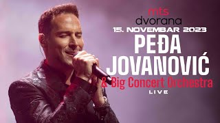 PEDJA JOVANOVIC amp BIG CONCERT ORCHESTRA  LIVE CEO KONCERT  151123 MTS DVORANA [upl. by Desta]