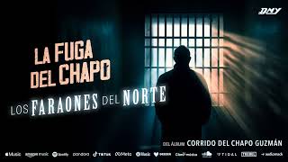 Los Faraones Del Norte  La Fuga Del Chapo Audio Oficial [upl. by Allisurd]