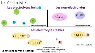 1 2 Les propriétés colligatives [upl. by Four47]