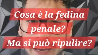 Cosa è la fedina penale Ma si può ripulire Avv Alessio Modena [upl. by Oirtemed]