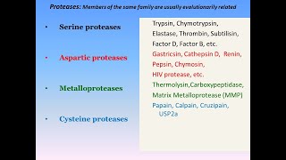 Serine Proteases Mechanism of Action [upl. by Rellia]