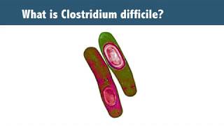 61 Epidemiology of C difficile [upl. by Ganiats28]