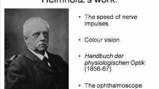 Helmholtz and Donders Psychology HPsy 45 [upl. by Agnimod]