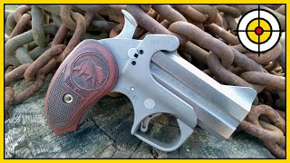 🐻Not Your Average Bear🐻 Bond Arms Grizzly 45 Colt amp 410 Derringer Range Review amp First Shots [upl. by Kessler178]