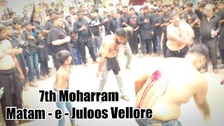 7th Moharram  Matam e Juloos 1446  2024 Vellore Azadari [upl. by Hewet]