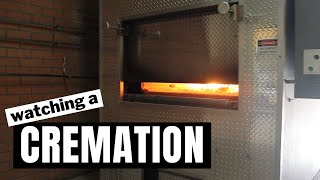 What happens during cremation [upl. by Einafit]