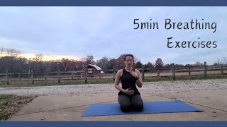 Daily 5min Breathing  calming for anxiety grounding nervous system vagus nerve balance [upl. by Debor219]