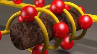 Inductors and Inductance [upl. by Stanfield503]