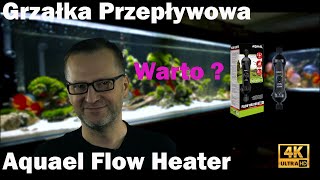 Grzałka przepływowa Aquael Flow Heater Czy warto [upl. by Swayne]