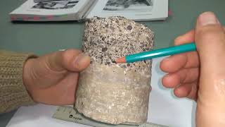 ¿Como interpretar una Roca Sedimentaria  How to interpret a sedimentary rock [upl. by Cheslie]