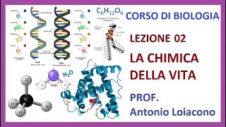 CORSO DI BIOLOGIA  Lezione 02  La chimica della Vita [upl. by Konikow]